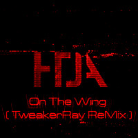 How To Destroy Angels ReMix Contest with TweakerRay ReMix of 'On The Wing'