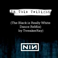 Download NIN: In this Twilight (TweakerRay ReMix) / Download Mp3 5.114 KB