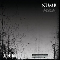 Abica Album: Numb with 3 Tracks composed & produced by TweakerRay